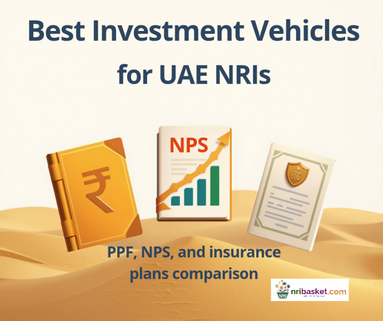 Best investment vehicles for UAE Nris